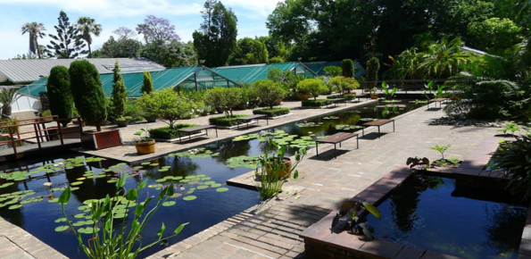 Stellenbosch University Botanical Garden